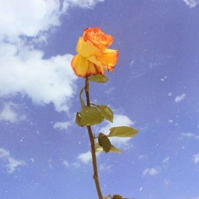 新东邪西毒公益服下载